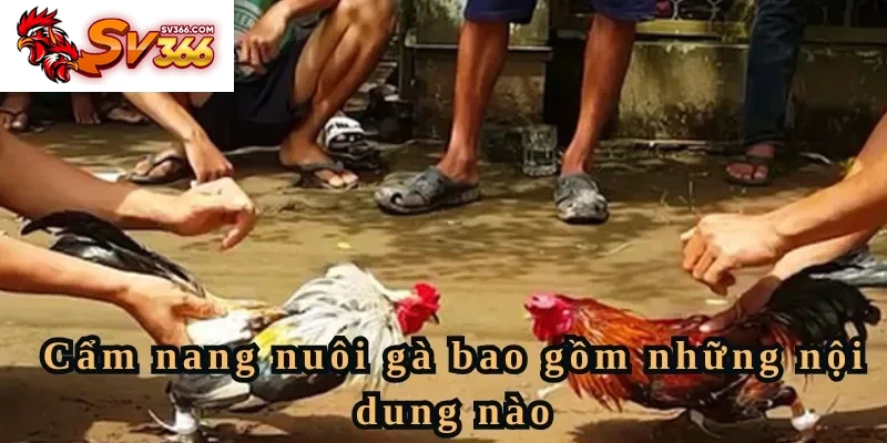 Cẩm nang nuôi gà bao gồm những nội dung nào