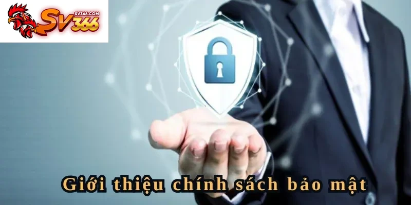 Giới thiệu đôi nét về chính sách bảo mật tại SV366