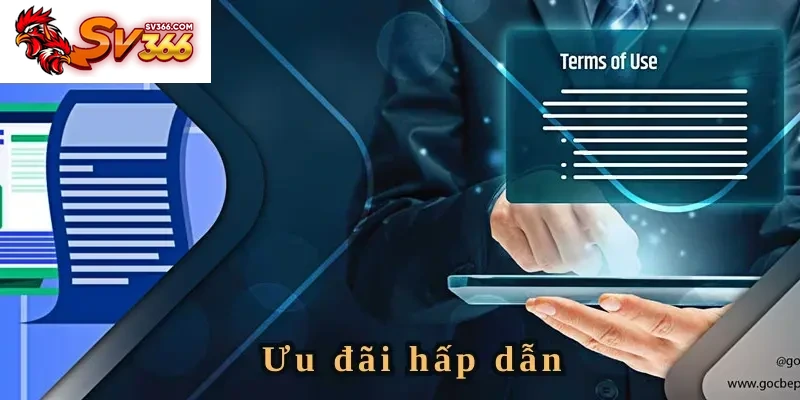 Những khuyến mãi thường xuất hiện trên SV366