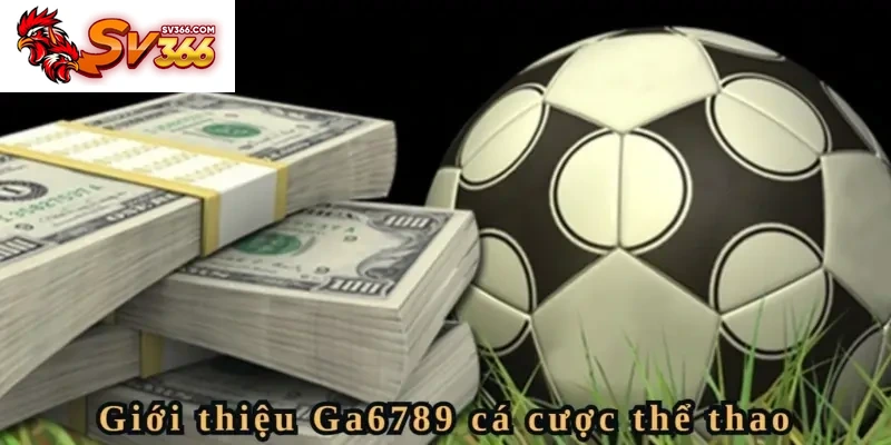 Người chơi Giới Thiệu SV366 vì sản phẩm Sport