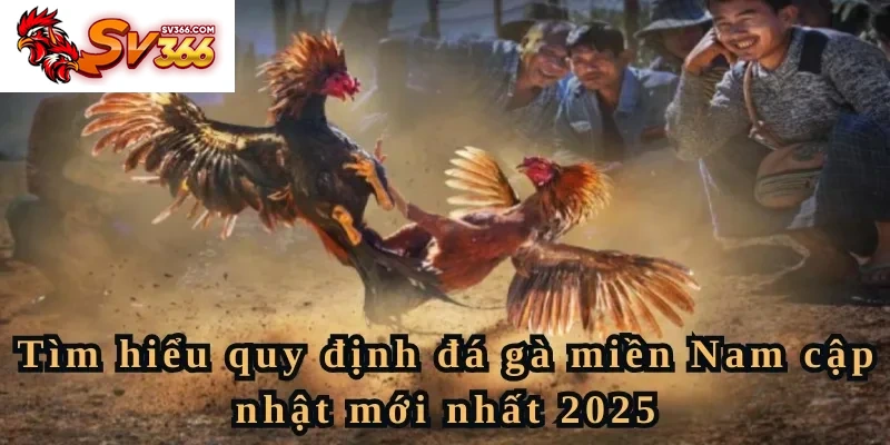 Tìm hiểu luật đá gà miền Nam cập nhật mới nhất 2025
