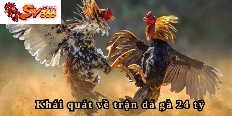 Khái quát về trận đá gà 24 tỷ